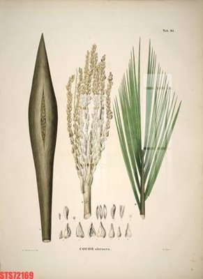 Tải file gốc Tranh sơn dầu phương tây tổng hợp STS72169 (in tráng gương) 3DFile gốc Tranh sơn dầu phương tây tổng hợp STS72169 (sẵn sàng in) chất lượng cao