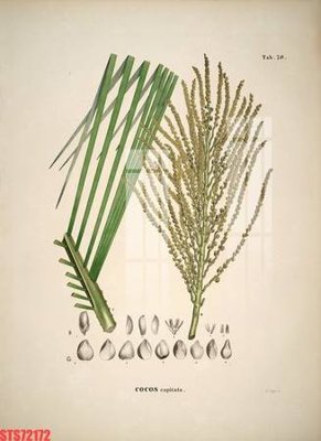 File gốc in ấn Tranh sơn dầu phương tây tổng hợp STS72172 chất lượng vượt trội