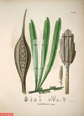 File ảnh Tranh sơn dầu phương tây tổng hợp STS72173 (gốc) in quảng cáo ngoài trời