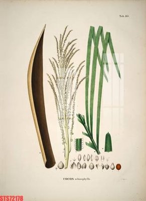 File gốc Tranh sơn dầu phương tây tổng hợp STS72178 (in 3D) cho trang trí