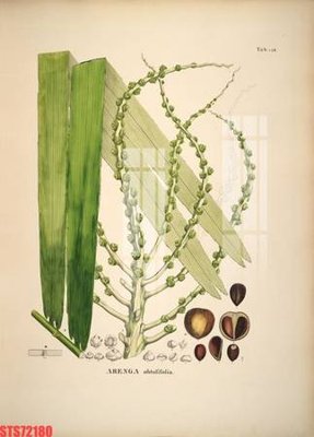 File tranh gốc in trần nhà Tranh sơn dầu phương tây tổng hợp STS72180 3D