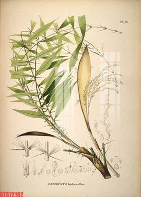 Tải file Tranh sơn dầu phương tây tổng hợp STS72182 (ảnh gốc) file AI/EPS