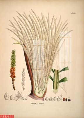 Tải về file gốc Tranh sơn dầu phương tây tổng hợp STS72189 (dùng cho in quảng cáo)