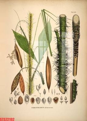 Tải file gốc Tranh sơn dầu phương tây tổng hợp STS72192 (in khổ lớn) không vỡ