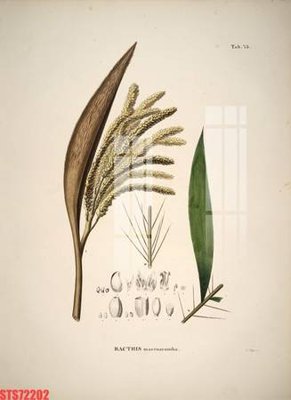 File in lụa Tranh sơn dầu phương tây tổng hợp STS72202 (phong cảnh) Tranh sơn dầu phương tây tổng hợp STS72202