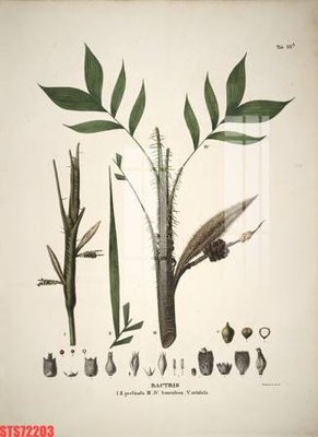 Tải file gốc Tranh sơn dầu phương tây tổng hợp STS72203 (in khổ lớn) không mờ