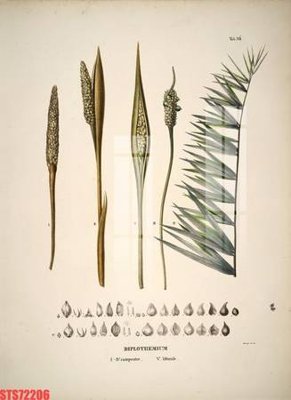 File gốc Tranh sơn dầu phương tây tổng hợp STS72206 (thiết kế) độc quyền