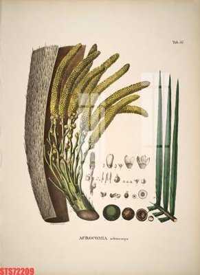 File tranh gốc in trần nhà Tranh sơn dầu phương tây tổng hợp STS72209 3D