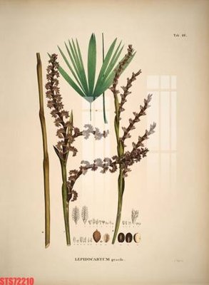 File gốc Tranh sơn dầu phương tây tổng hợp STS72210 (ảnh chi tiết) để in trần