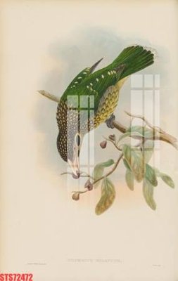 File in ấn Tranh sơn dầu phương tây tổng hợp STS72472 (bản gốc) cao cấp