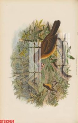 File tranh gốc Tranh sơn dầu phương tây tổng hợp STS72474 (bản đẹp) độc quyền