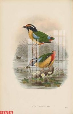 Download file Tranh sơn dầu phương tây tổng hợp STS72477 (gốc) in mica đèn LED