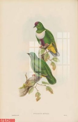 File in trần Tranh sơn dầu phương tây tổng hợp STS72480 (file gốc) phong thủy