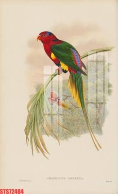 Mua file tranh gốc Tranh sơn dầu phương tây tổng hợp STS72484 tại Filetranh.com