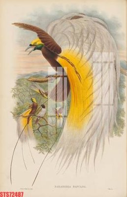 File tranh quảng cáo Tranh sơn dầu phương tây tổng hợp STS72487 (file gốc) chuyên nghiệp