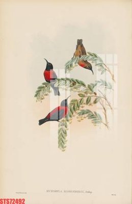 File gốc Tranh sơn dầu phương tây tổng hợp STS72492 (chuẩn CMYK) cho nhà in