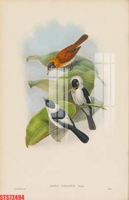 File ảnh Tranh sơn dầu phương tây tổng hợp STS72494 (gốc) in PP, decal