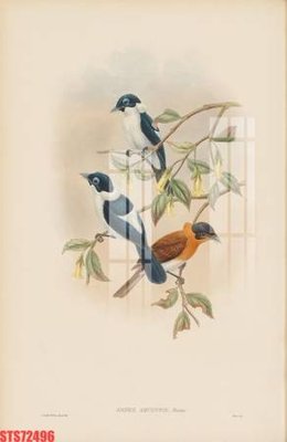 Tải về file tranh gốc Tranh sơn dầu phương tây tổng hợp STS72496 (để in quảng cáo)