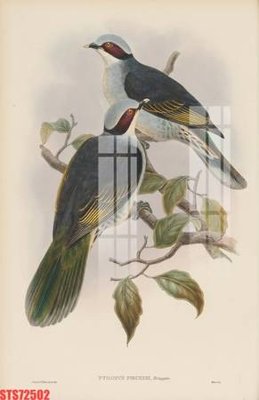 File ảnh gốc Tranh sơn dầu phương tây tổng hợp STS72502 (chuyên in mica)