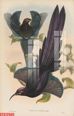 File PSD Tranh sơn dầu phương tây tổng hợp STS72503 (bản gốc) chất lượng nhất