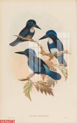 File tranh Tranh sơn dầu phương tây tổng hợp STS72507 (ảnh gốc) in trần xuyên sáng