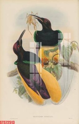 File gốc Tranh sơn dầu phương tây tổng hợp STS72513 (PNG) nền trong suốt