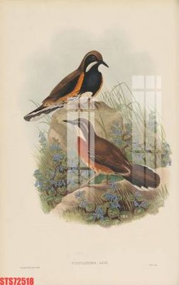 File PSD Tranh sơn dầu phương tây tổng hợp STS72518 (gốc) cho in quảng cáo