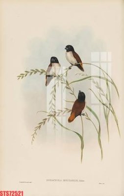 File gốc Tranh sơn dầu phương tây tổng hợp STS72521 (ảnh chi tiết) để in trần