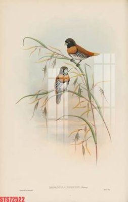 File tranh Tranh sơn dầu phương tây tổng hợp STS72522 (gốc) chủ đề tĩnh vật