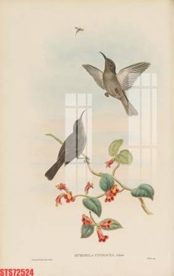 Tải file Tranh sơn dầu phương tây tổng hợp STS72524 (gốc) làm tranh trang trí