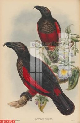 File tranh trang trí Tranh sơn dầu phương tây tổng hợp STS72542 (file gốc)