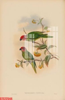 File gốc in ấn Tranh sơn dầu phương tây tổng hợp STS72544 (sẵn sàng tải về)