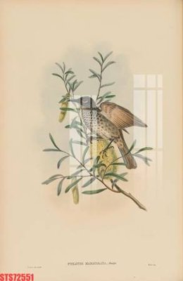 File in ấn cao cấp Tranh sơn dầu phương tây tổng hợp STS72551 (file gốc)