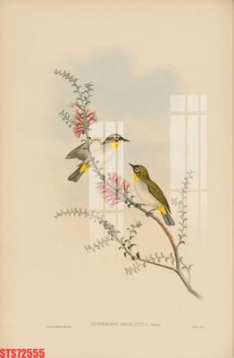 File gốc Tranh sơn dầu phương tây tổng hợp STS72555 (PNG) chất lượng cao