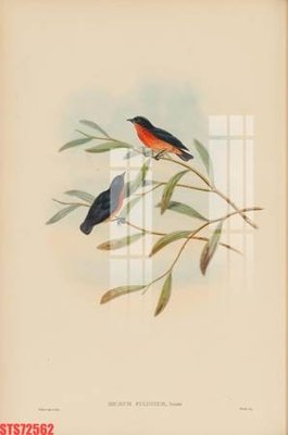 File in ấn Tranh sơn dầu phương tây tổng hợp STS72562 (bản gốc) sắc nét