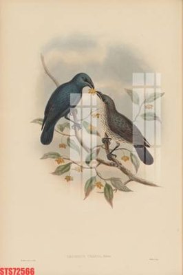 Tải file Tranh sơn dầu phương tây tổng hợp STS72566 (gốc) in tranh tráng gương