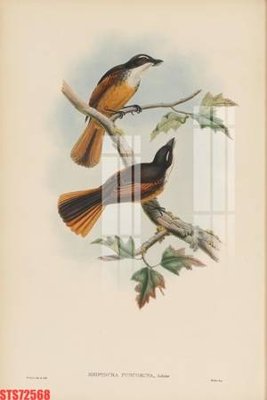 Ảnh mô tả file gốc in mica Tranh sơn dầu phương tây tổng hợp STS72568