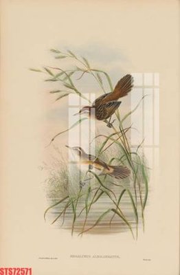 Mua file ảnh gốc Tranh sơn dầu phương tây tổng hợp STS72571 (chất lượng cao)