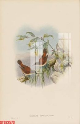 File gốc Tranh sơn dầu phương tây tổng hợp STS72573 (dành cho quảng cáo)