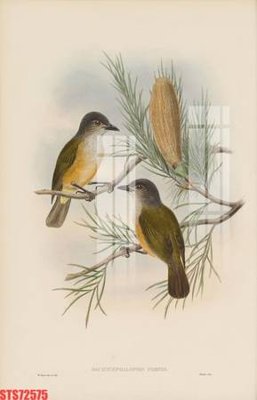 Tải file Tranh sơn dầu phương tây tổng hợp STS72575 (gốc) để in ấn ngay