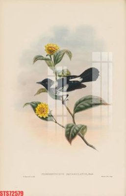 File tranh Tranh sơn dầu phương tây tổng hợp STS72579 (gốc) chủ đề trẻ em