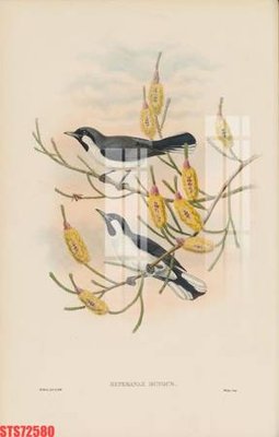 File tranh Tranh sơn dầu phương tây tổng hợp STS72580 (ảnh gốc) không bị mờ