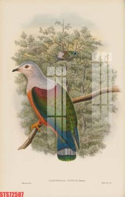 Ảnh gốc file in lụa Tranh sơn dầu phương tây tổng hợp STS72587 chi tiết