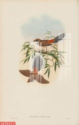 File in trần Tranh sơn dầu phương tây tổng hợp STS72595 (bản gốc) phong cảnh