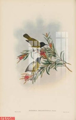 File PSD Tranh sơn dầu phương tây tổng hợp STS72596 (bản gốc) cho nhà in