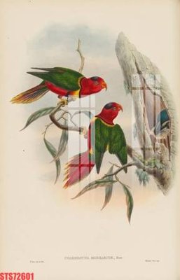 Tải xuống file tranh gốc Tranh sơn dầu phương tây tổng hợp STS72601 (PSD/TIFF)