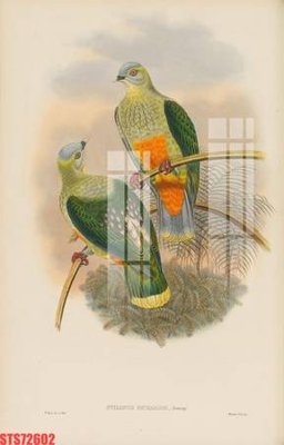 Tải file Tranh sơn dầu phương tây tổng hợp STS72602 (gốc) làm file tranh quảng cáo