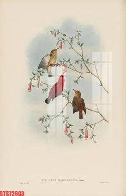 Tải file Tranh sơn dầu phương tây tổng hợp STS72603 (gốc) chủ đề tâm linh