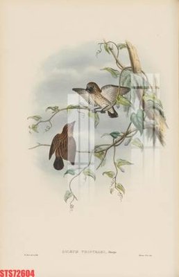 Chi tiết file ảnh Tranh sơn dầu phương tây tổng hợp STS72604 sắc nét