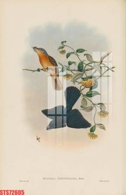 File gốc Tranh sơn dầu phương tây tổng hợp STS72605 (in tráng gương) sang trọng